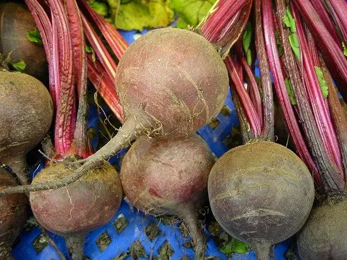 Superfoods for ADHD Beets