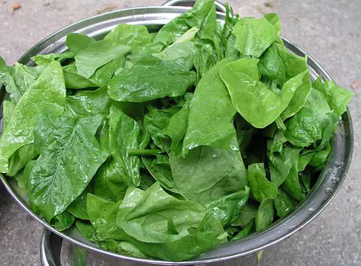 Fruits and Vegetables for ADHD Spinach