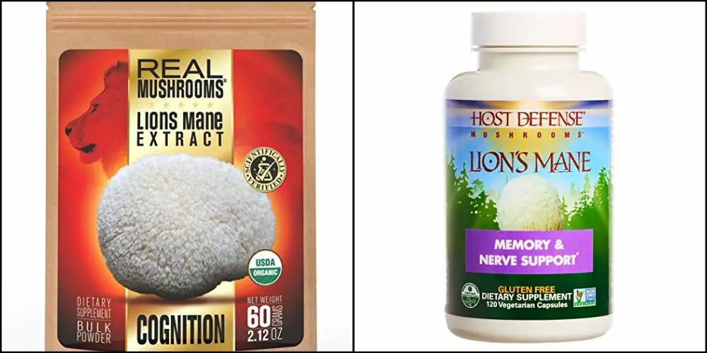 Real Mushrooms Lions Mane Extract Review VS Host Defense Comparison