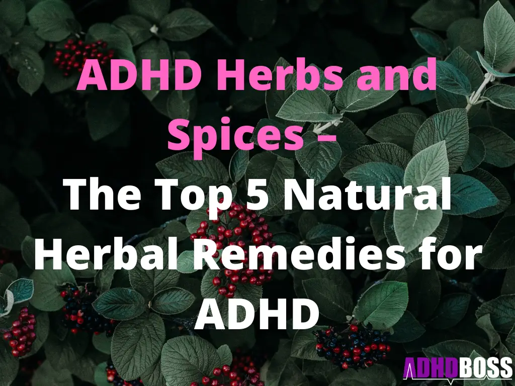 ADHD Herbs and Spices – The Top 5 Natural Herbal Remedies for ADHD
